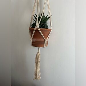 Plant ceiling holders (2)